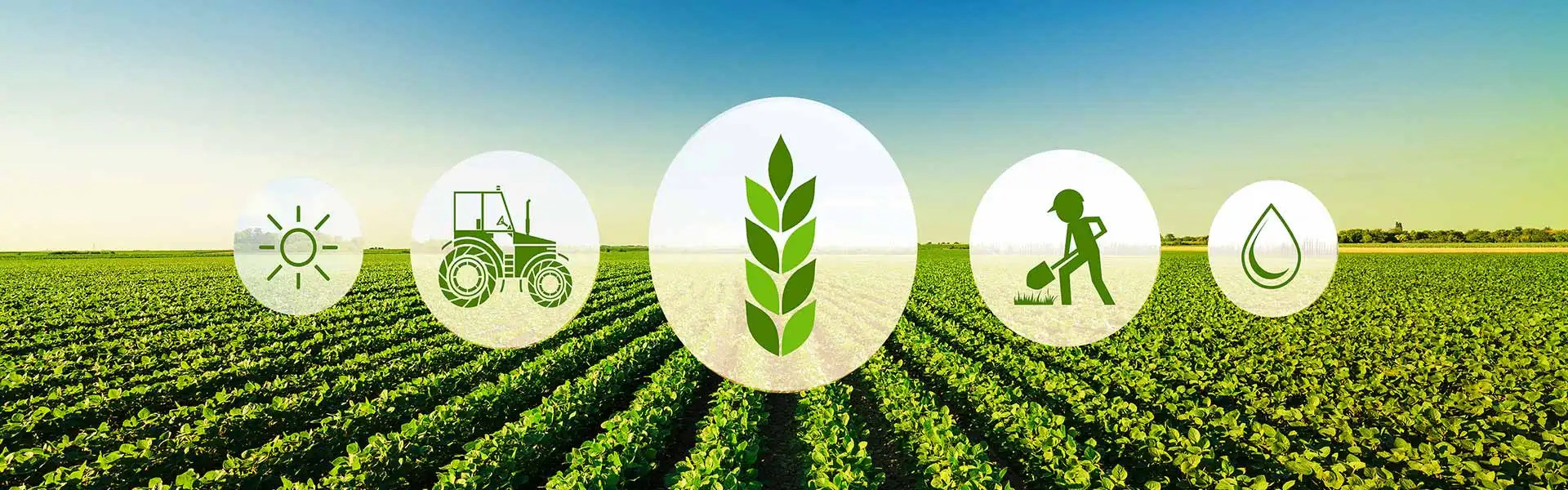 Indigenous & Modern Knowledge Systems- Multi-Purpose Development Concepts for Economic Growth & Gross Domestic Programs